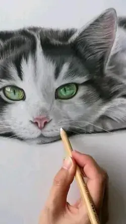 Cat Hand Drawing | Cat Drawing Wallpaper | Cute Cat Drawing | Cat Face Drawing | Cat Coloring Book