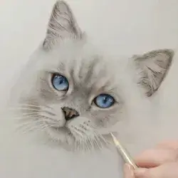 Learn How to Draw Realistic Cats in Coloured Pencil | Bonny Snowdon Academy
