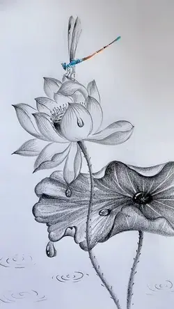 Lotus Art