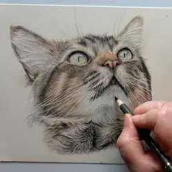 Learn to Draw Realistic Animals in Coloured Pencil | Bonny Snowdon Academy