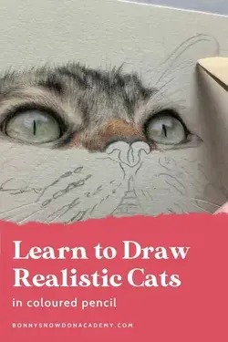 Learn to Draw Realistic Cats | Art Tutorials