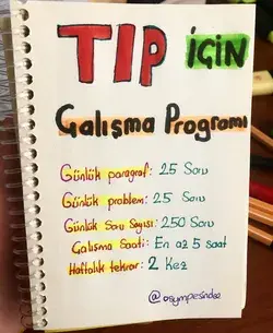 Tıp Fakültesi İçin Kaç Net Yapmalıyım?