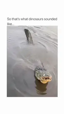 Well now I’m scared! Crocodiles are scary