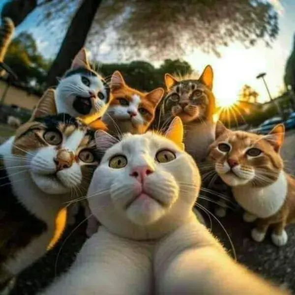 #aiarthandsomecats #aiartgoodlookingcats