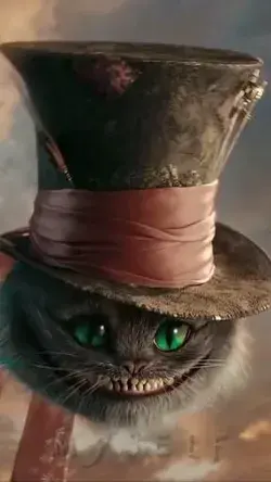 𝓖𝓪𝓽𝓸 𝓡𝓲𝓼𝓸𝓷𝓱𝓸🐱🎩