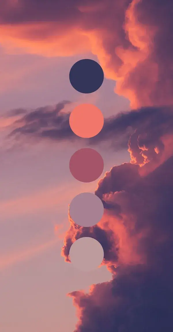 Color Palette