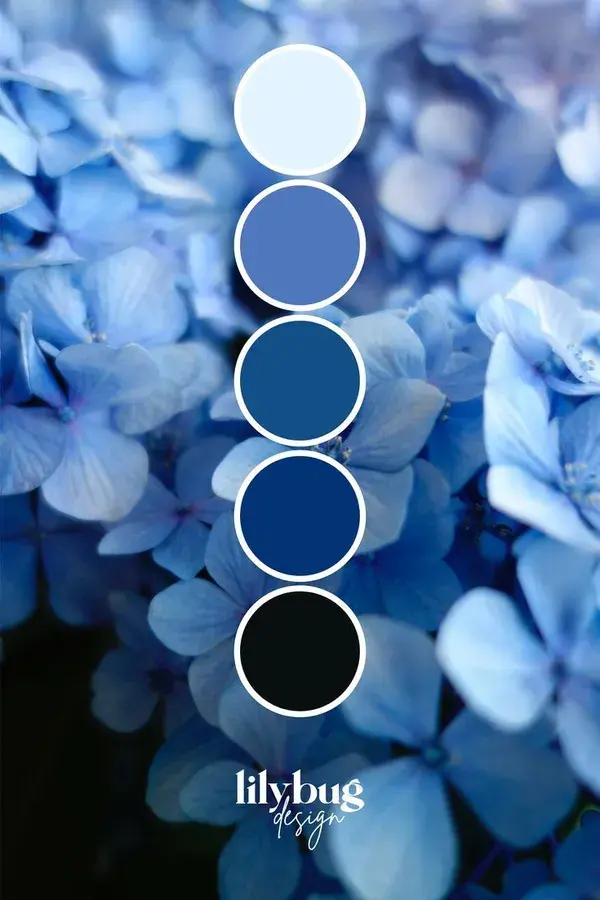 Purple Blue Flower Colour Palette