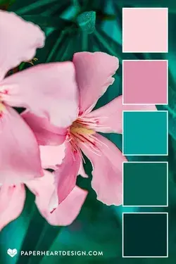 Soft Flower Color Palette