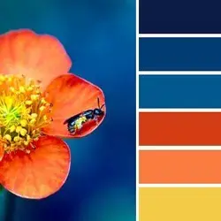 Created using Color Inspiration Tool For iOS 0C1A46 - Space cadet 013D74 - Manganese Blue 04… | Orange color schemes, Orange color palettes, Color palette design