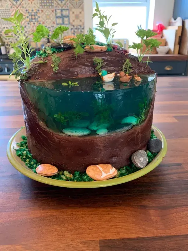 Duck Pond Jelly Island Cake