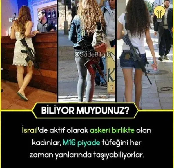 Bilgi