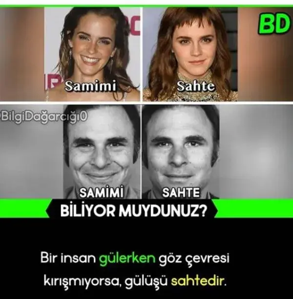 Bilgi