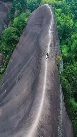 Ferry Forest mountain 🏞️