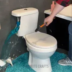 Toilet transformation! Cool DIY aquarium