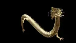 3d Animation Gold Chinese Dragon Stock Footage Video