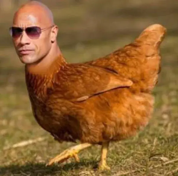 The rock chik