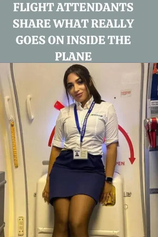 Flight Attendants Share What Really Goes On Inside The Plane