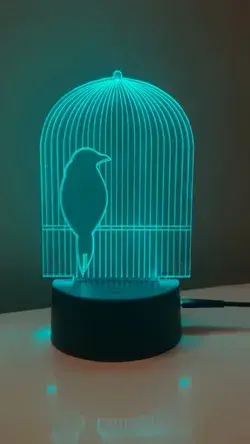 Bird Cage Illusion  Lamp