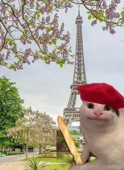 Белуга кушает багет🇫🇷🗼