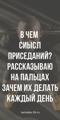 my-tips.ru