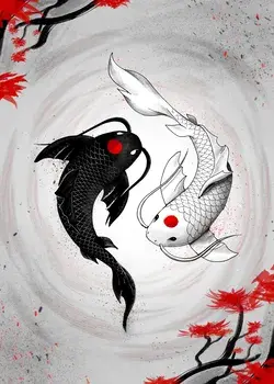 Japanese Koi Fish