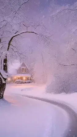 Scenic snowfall in the countryside