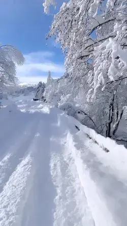 Beautiful morning in Graubünden. Tag someone you want to bring here