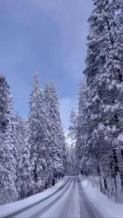 Winter wonderland, at Yosemite National Park