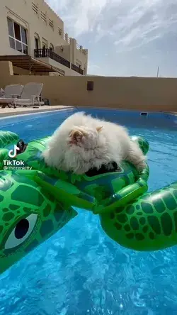 Sunbathing by the pool 😃😎🥰🤗