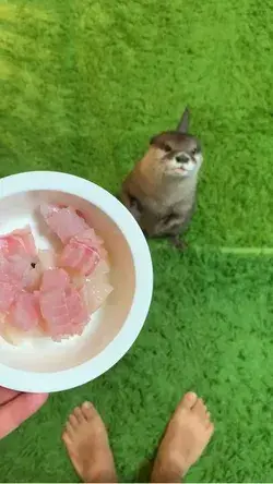 Happy boy enjoying his meal