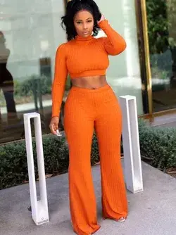 Stand Neck Long Sleeve Wide Leg 2Pcs Sets DB1607 - Orange / L