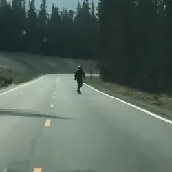 Deer tries to hit skateboarder.