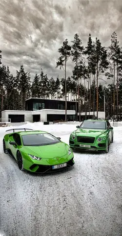 Lamborghini Huracan & Bentley Bentayga