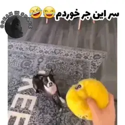 فقط قیافه آخرش😂