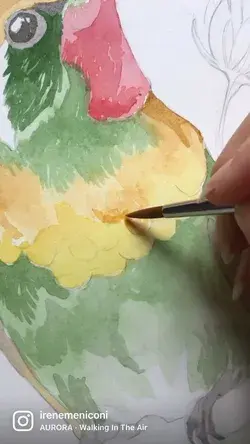 Hummingbirds and hibiscus - work in progress