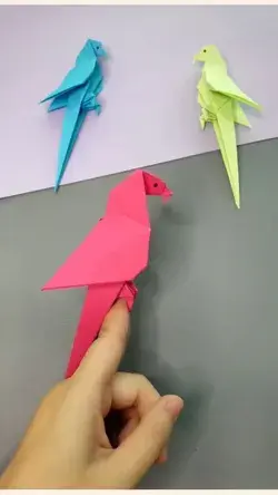 Festive Parrot Activities to Make Your Day Even Merrier