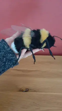 Felted bumble bee by Stella Collins find me on Instagram @for_felt_sake