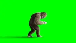 Funny Brown Gorilla Dancing. Super Stock Footage Video