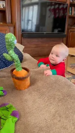 Dancing Cactus Toy