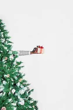 &quot;Christmas Time!&quot; by Stocksy Contributor &quot;Studio Firma&quot; - Stocksy