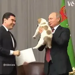 Even Putin loves doggos