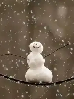 Tiny snowman