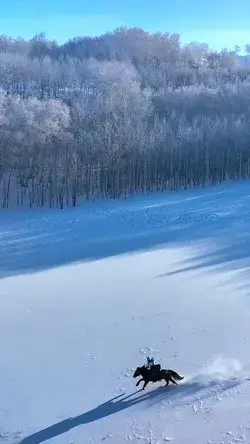 策马扬鞭笑傲江湖，一眸一笑一举手