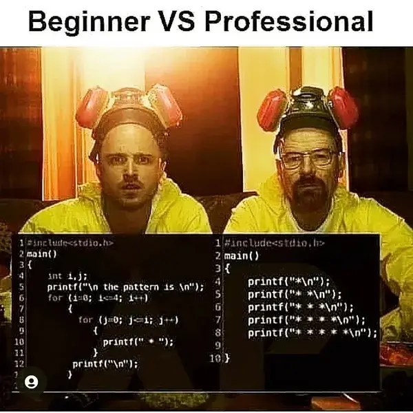 Beginner vs. Professional