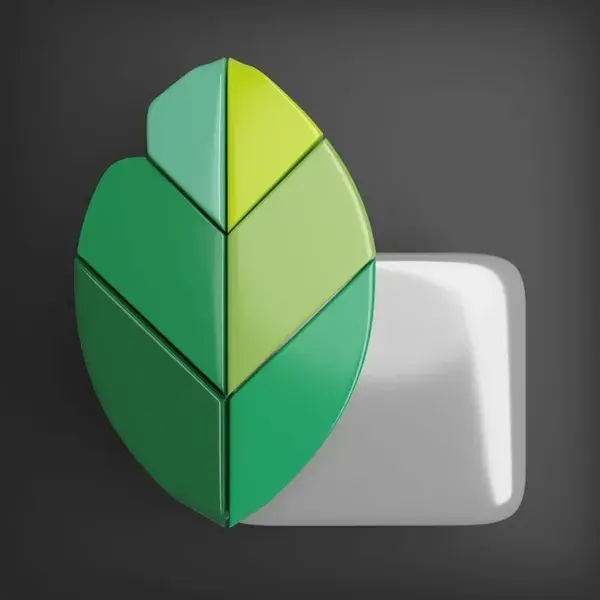 Snapseed 3D ICon