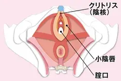 OurAge - 集英社の雑誌MyAgeのオンラインメディア