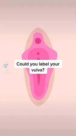 How well do you know your vulva?