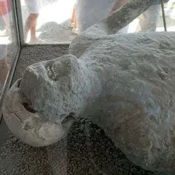 16 Things You Didn&#x27;t Know About The Bodies Preserved At Pompeii