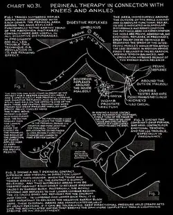 Polarity Therapy: Volume 1, Book 2, Chart 31 - Dr. Randolph Stone