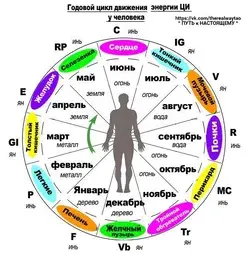 Что такое ци, виды и функции ци